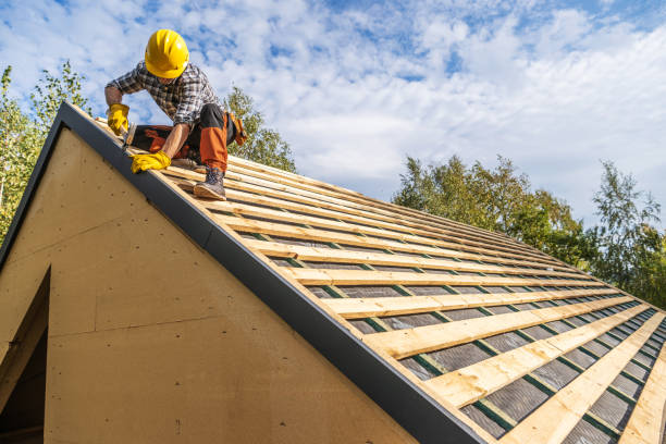 Professional Roofing Contractor in Lake Lakengren, OH